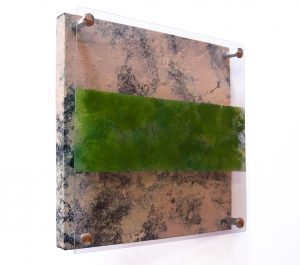 emiliano.stella.green-wall-tecnica-mista-su-tessuto-incollato-su-legno-acrilico-su-plexiglass-30x30cm-2021-great-green-wall-grande-muraglia-verde-arte-informale-informalism-art-informel